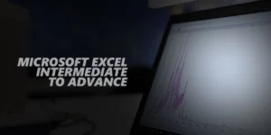 Microsoft Excel Intermediate to Advanced