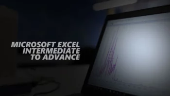 Microsoft Excel Intermediate to Advanced