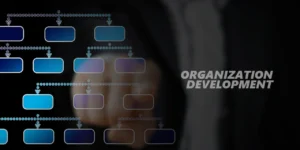 Organizational Development Analyst Certification