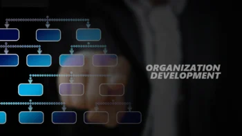 Organizational Development Analyst Certification