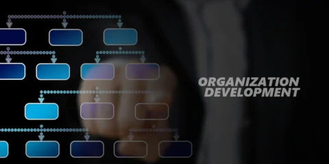Organizational Development Analyst Certification