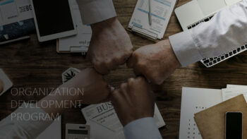 Organization Development Program
