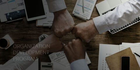 Organization Development Program