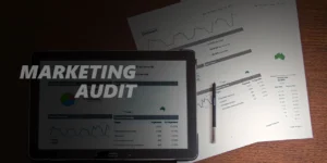 Marketing Audit