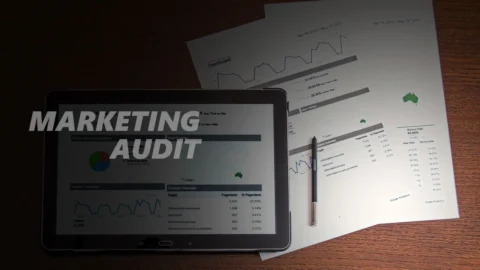 Marketing Audit