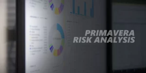 Primavera Risk Analysis