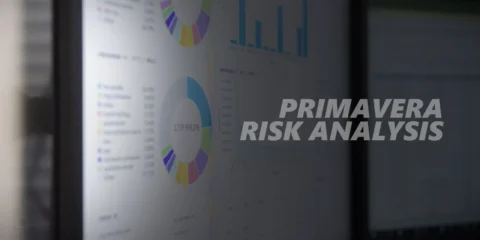 Primavera Risk Analysis