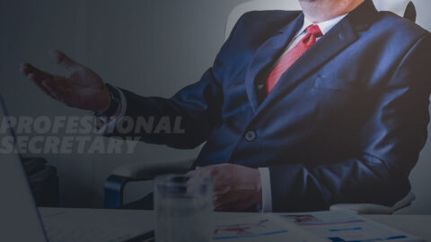 Professional Secretary Skill