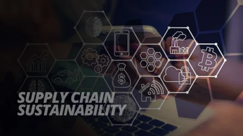 Supply Chain Sustainability