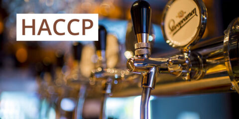 Training HACCP