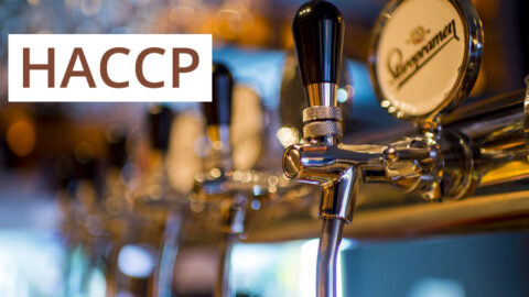 Training HACCP